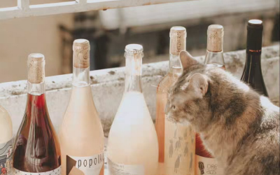 New Labels – Kontozisis Wines